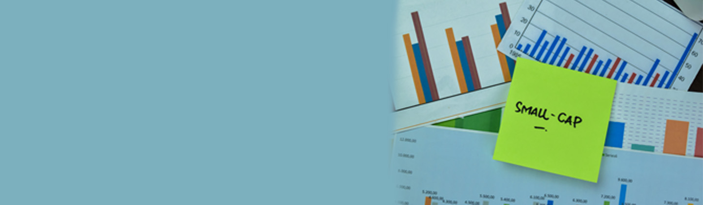 What Are Small Cap Funds